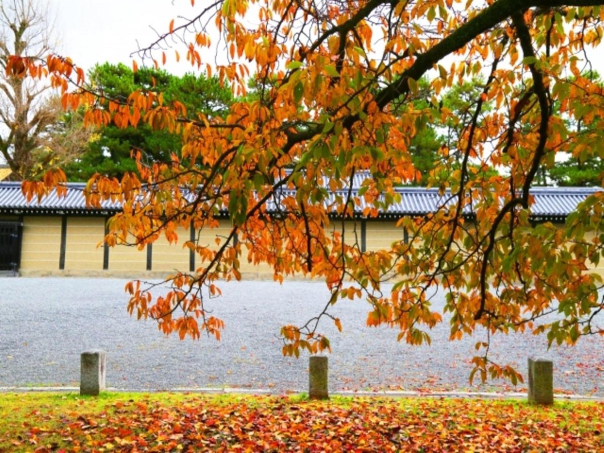 La'Gent Hotel Kyoto Nijo Exteriér fotografie