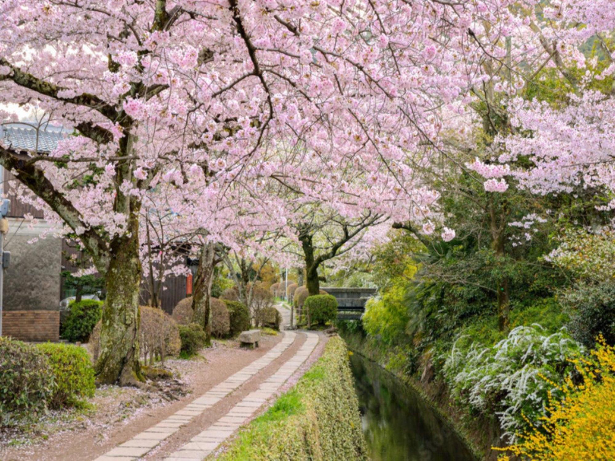 La'Gent Hotel Kyoto Nijo Exteriér fotografie